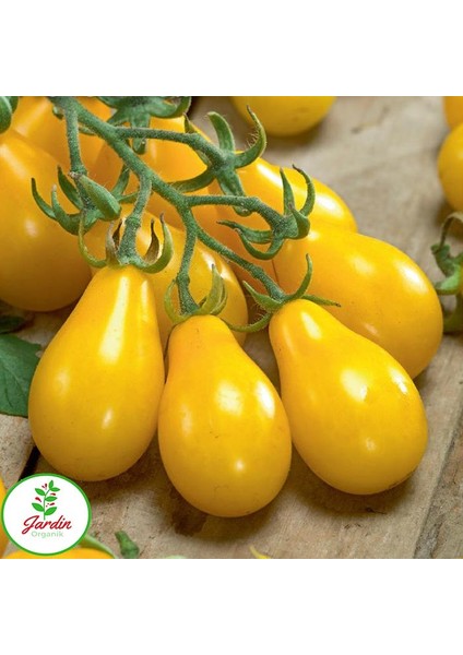 Sarı Cherry Domates 15 'li Doğal Tohum Al SaksıTorf Ev ve Bahçe İçin