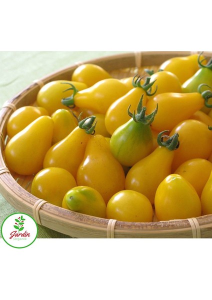 Sarı Cherry Domates 15 'li Doğal Tohum Al SaksıTorf Ev ve Bahçe İçin fırsatları