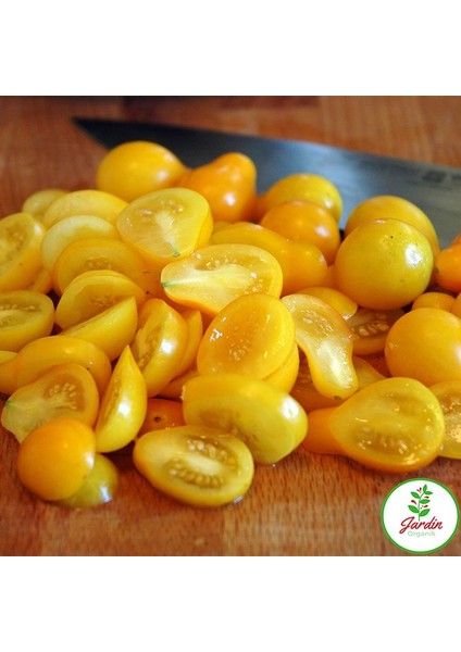 Sarı Cherry Domates 15 'li Doğal Tohum Al SaksıTorf Ev ve Bahçe İçin indirimleri