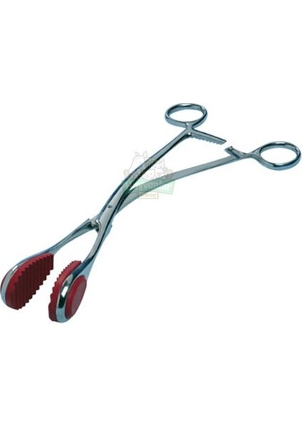 Uterus Pensi 29 cm