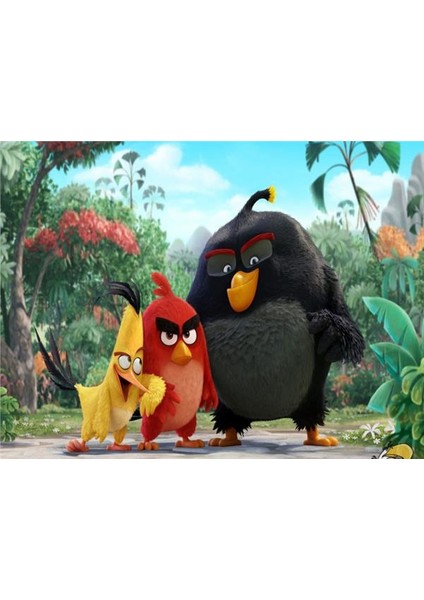 Angry Birds Çocuk Odası Duvar Kağıdı Vinil