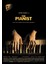 The Pianist Film Afişi Poster (35 x 50 Cm.) 1