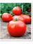 Agro Tohum Ata Tohumu Yerli Iri Domates 1 gr 300 Adet Tohum 1