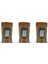 Kırkkilit (At Kuyruğu) (Equisetum Arvense) 3 x 20 gr 1