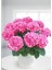 Ortanca pembe Çiçekli 20-30 cm Boy 1