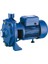 2MCP50/200 Santrifüj Pompa 2 Hp 220 V 1