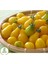 Sarı Cherry Domates 15 'li Doğal Tohum Al SaksıTorf Ev ve Bahçe İçin 4