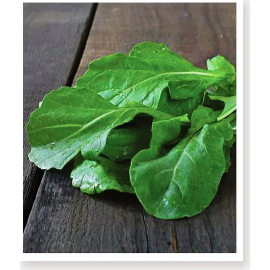 Agro Tohum Ata Tohumu Yerli Roka Nuran 1 gr 1500 Adet Tohum Agro Tohum Ata Tohumu Yerli Roka Nuran 1 gr 1500 Adet Tohum