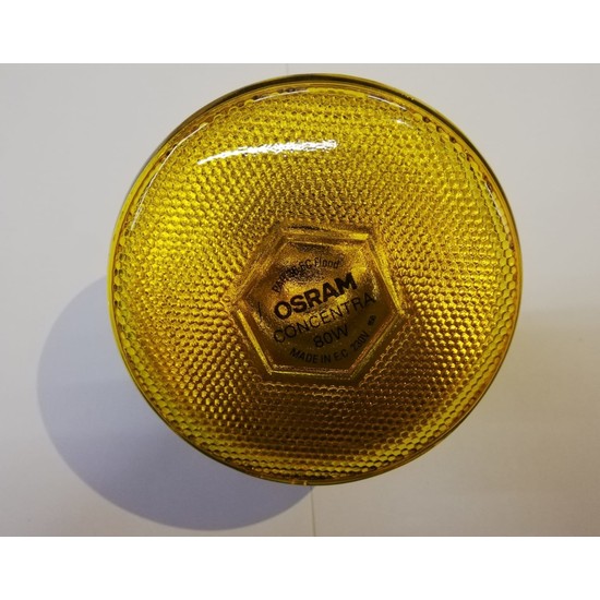 Lot De 12 Lampes OSRAM E27 CONCENTRA BELCOLOR – Colorées – 60W – Neuves