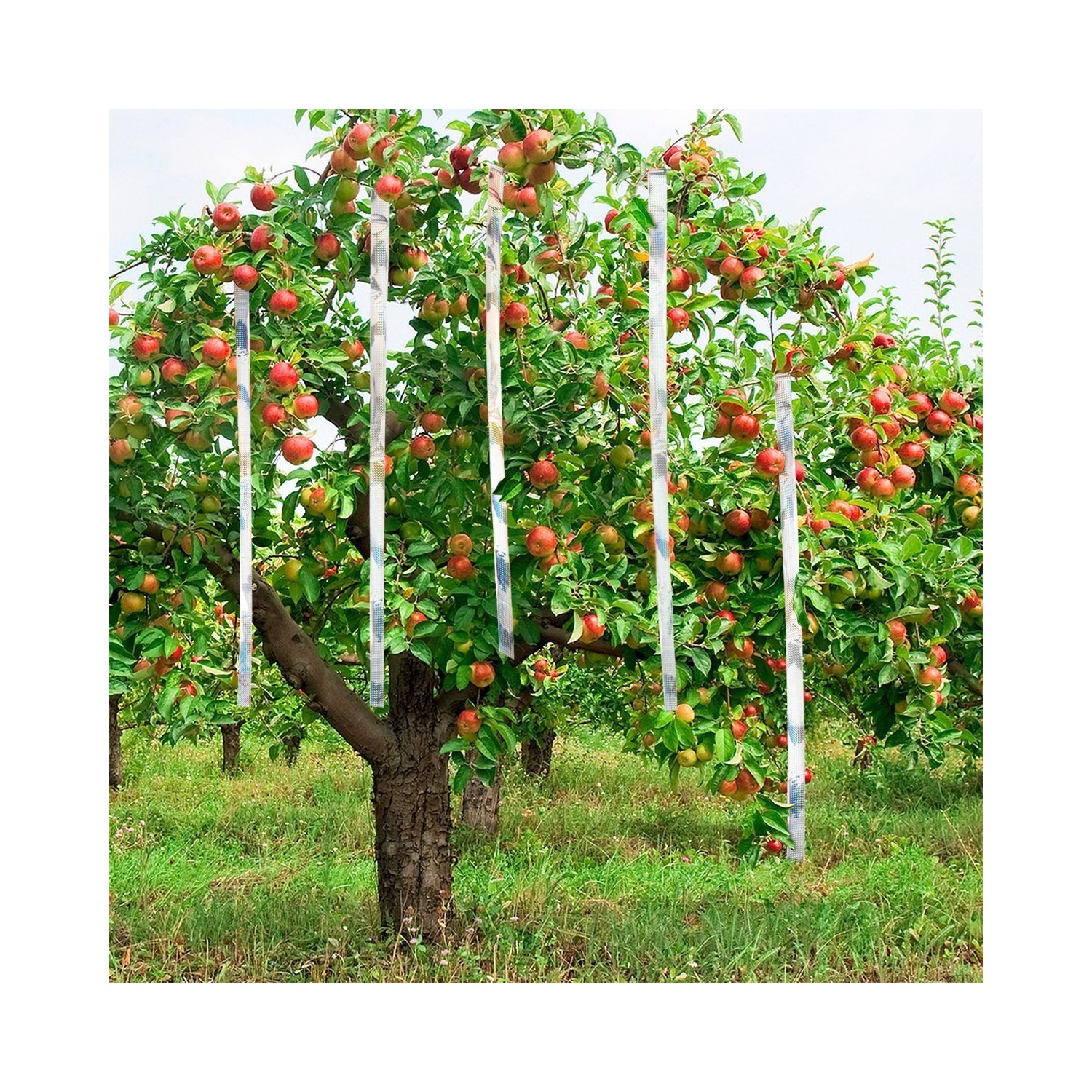 BirdX Irri Tape02 Iritasyon Kuş Kovucu Bandı, 2 Mt Rulo, Fiyatı