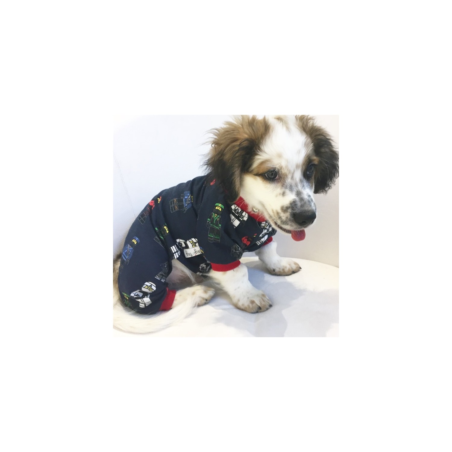 Bir köpek için tulumlar nasıl ölçülür Bir köpek için tulumlar nasıl ölçülür