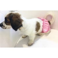 Dogi Dog Pembe Puantiyeli Regl Kilotu Kopek Ic Camasiri Fiyati