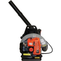 Palmera EB-650 Benzinli Yaprak Üfleme Makinası