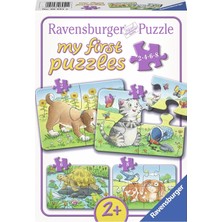 Rabvansburger 2 + 4 + 6 + 9 Parça Baby Hayvanlar Puzzle