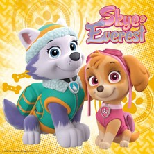 Ravensburger 3 x 49 Parça Paw Patrol Skye Puzzle