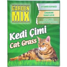 Patiland Garden Mix Kedi Çimi Büyük