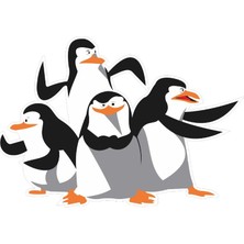 Stickermarket Penguen Sticker