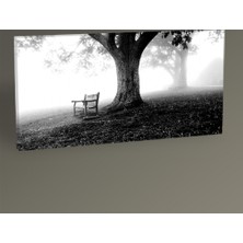 Tablo 360 - Ağaç ve Bank Tablo 60x30