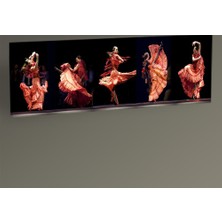 Tablo 360 - Flamenko Tablo 60X20
