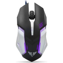 Everest SM-G72 Usb Siyah/Gümüş Işıklandırmalı Oyuncu Mouse