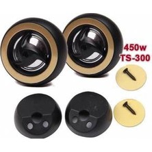 Eversonic Ts-300 Tweeter 450W