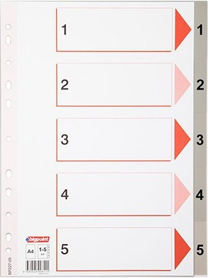Bigpoint Seperatör A4 1-5 Rakamlı (Bp227-05)