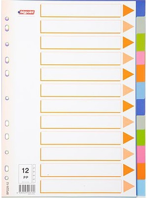Bigpoint Seperatör A4 12 Renkli (Bp228-12)