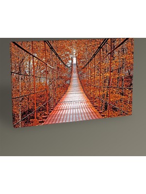 Tablo 360 - Asma Köprü Tablo 30x20