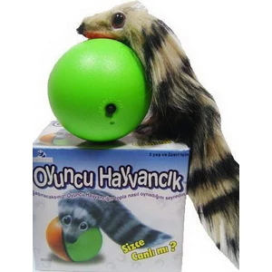 Vardem8037H Kut.Top Oynayan Hayvancık