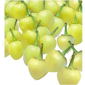 Tohum Diyarı Biberiye Tohumu 10+ Tohum
