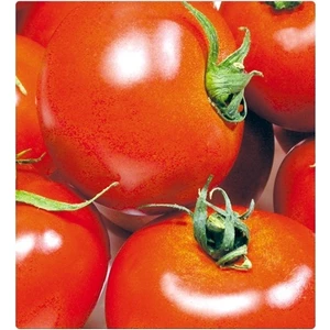 Tohum Diyarı Etli Lezzetli Domates Tohumu 10+ Tohum