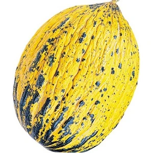 Tohum Diyarı Kavun (Kırkağaç) Tohumu 5+ Tohum
