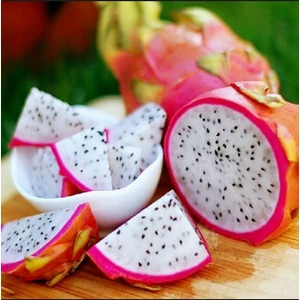 Tohum Diyarı Pitaya Meyvesi Tohumu 5+ Tohum Ejder Meyvesi