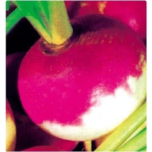 Tohum Diyarı Şalgam Tohumu 10+ Tohum