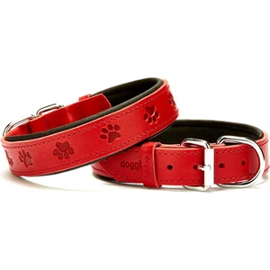 Pati Desenli Köpek Boyun Tasması (Sbt-3036M)