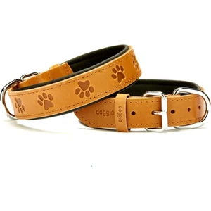 Pati Desenli Köpek Boyun Tasması (Sbt-3536L)