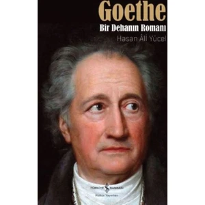 Goethe : Bir Dehanın Romanı - Hasan Ali Yücel