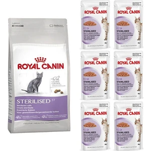 Royal Canin Sterilised 37 Kisirlaştirilmiş Kedi Mamasi 2 Kg ve 6 Adet Royal Canin Gravy Sterilised Kisirlaştirilmiş Kediler Için Konserve 85 Gr