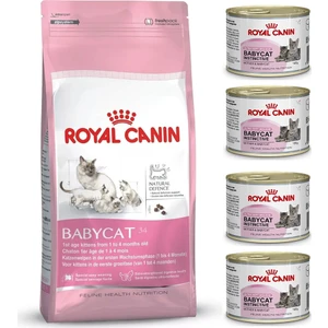 Royal Canin Mother&Baby Cat 34 Anne Ve Yavru Kedi Mamasi 4 Kg 4 Adet Royal Canin BabyCat Instinctive Yavru Kedi Konservesi 195 Gr Hediye