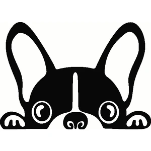 Bagajdan Bakan Köpek - Oto Sticker