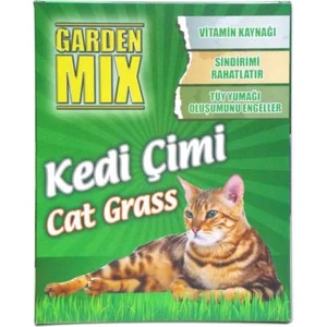 Patiland Garden Mix Kedi Çimi Büyük