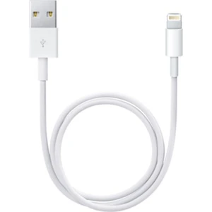 Lightning Kablolu Usb  Şarjı 1 A