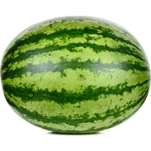 Memleketten Gelsin Karpuz (5 - 6 kg)