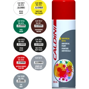 Selülozik Siyah Sprey Boya 200 ml. CLN 10222