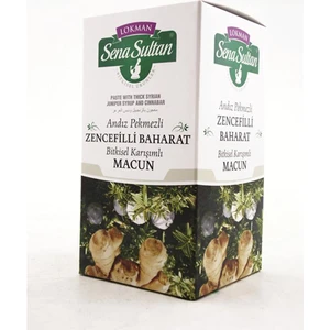 Lokman Sena Sultan Andız Pekmezli Zencefilli Macun (420 Gr.)-Brş