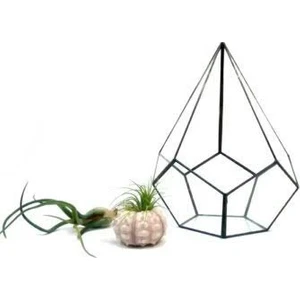 Green Sensations Damla Geometrik Vitray Cam Fanus