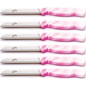 Meyve Bıçağı 6 Adet