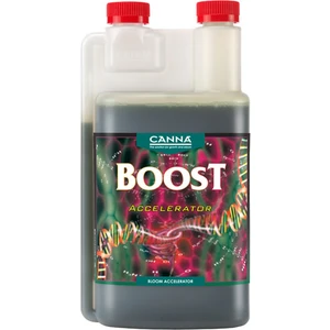 Boost 250 ml