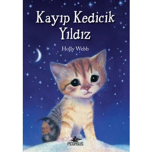 Kayıp Kedicik Yıldız