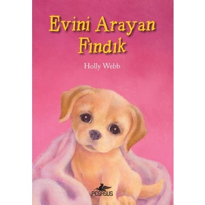 Evini Arayan Fındık
